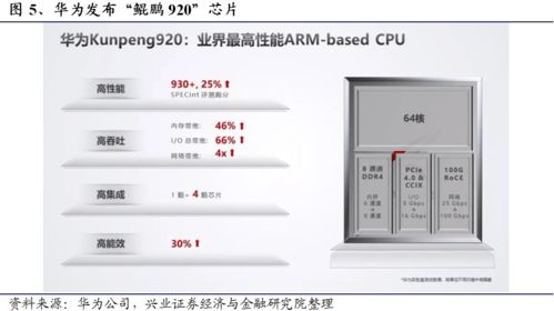 全面分析六大國產CPU處理器及其軟件開發前景