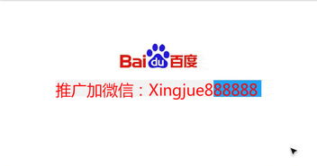 鼎力中國，飽倍兒崛起 享瘦生活新風尚與代理咨詢服務解析