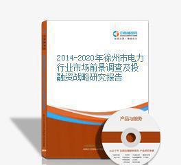 2014-2020年徐州市電力行業(yè)市場(chǎng)前景調(diào)查及投融資戰(zhàn)略研究報(bào)告