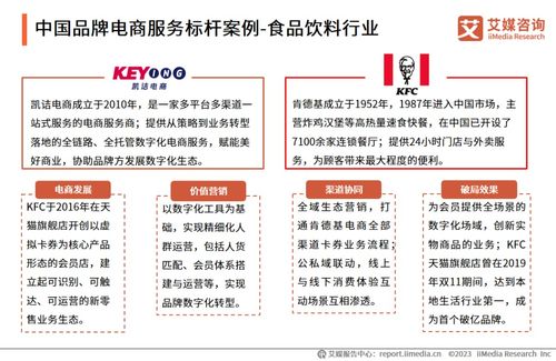 2023年中國品牌電商服務(wù)行業(yè)深度解析 艾媒咨詢研究報(bào)告揭示市場(chǎng)趨勢(shì)與機(jī)遇